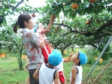 梨狩り
