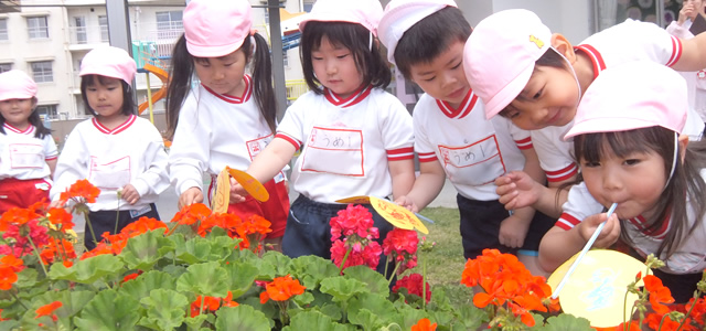 入園について | アソカ学園城北幼稚園｜静岡県浜松市