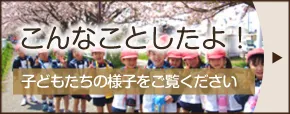こんなことしたよ