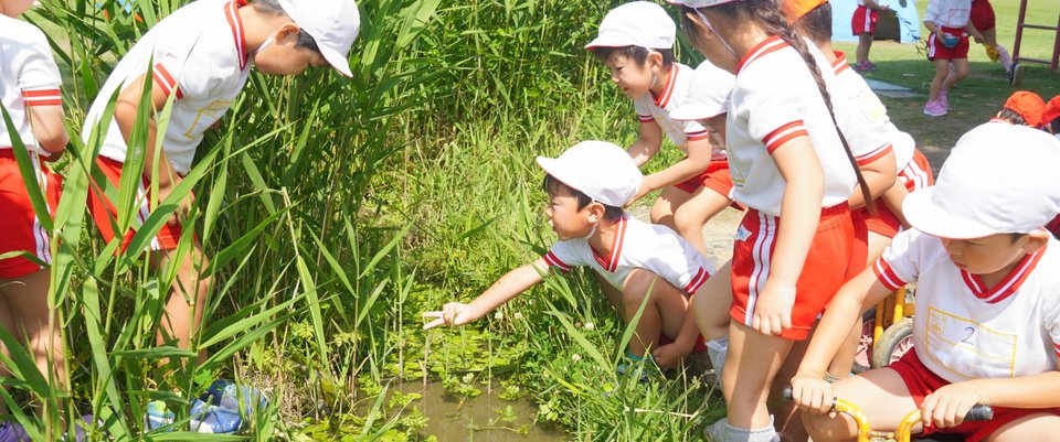 美波幼稚園
