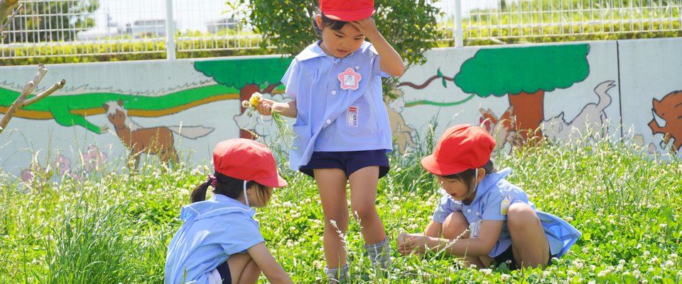 美波幼稚園