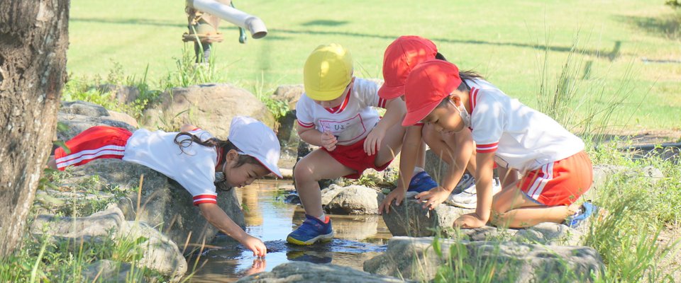 美波幼稚園